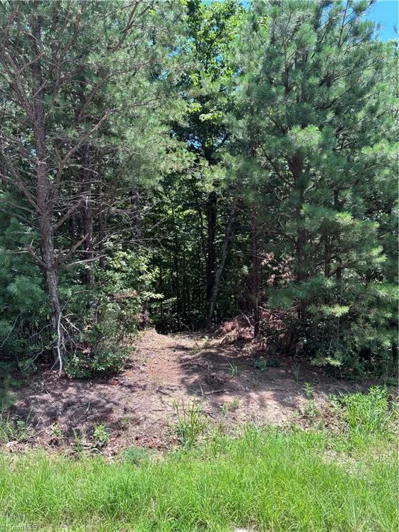 00 Breakaway Drive McGrady, NC 28649