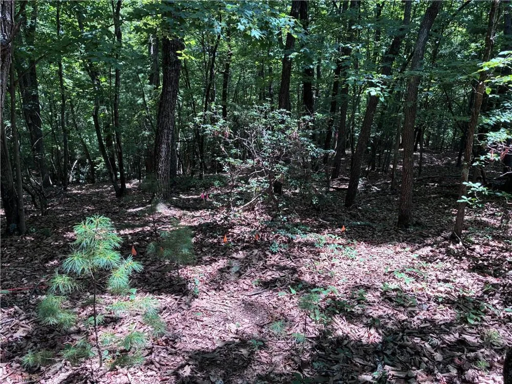 00 Breakaway Drive McGrady, NC 28649