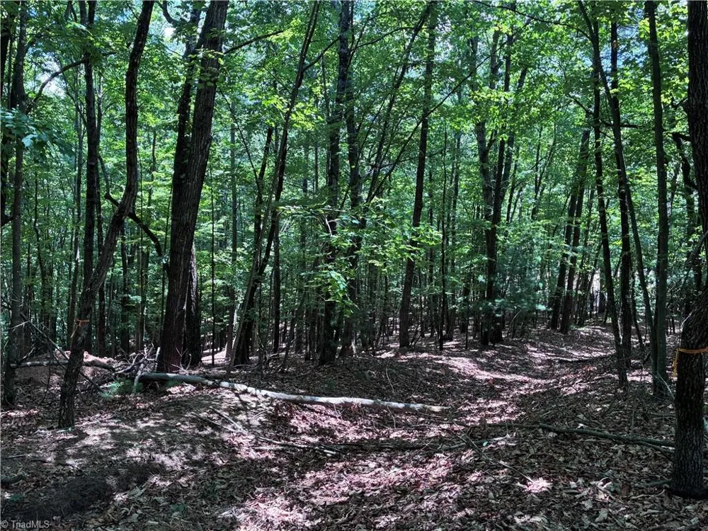 00 Breakaway Drive McGrady, NC 28649