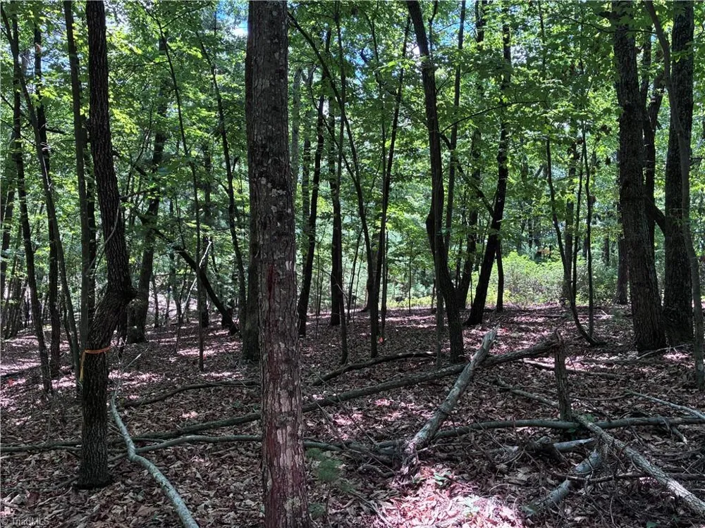 00 Breakaway Drive McGrady, NC 28649