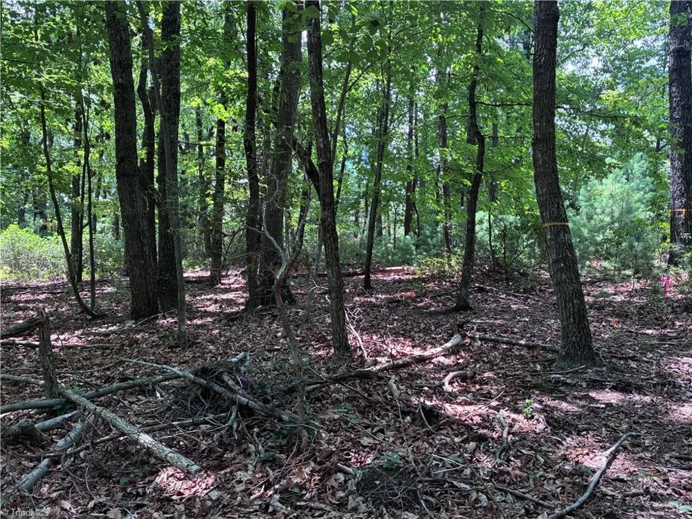00 Breakaway Drive McGrady, NC 28649
