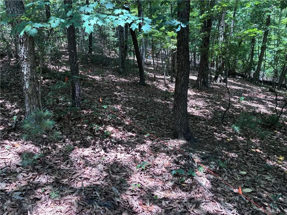 00 Breakaway Drive McGrady, NC 28649