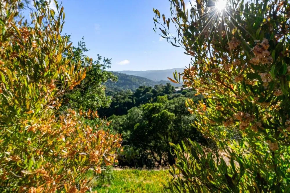 15333 Kennedy Road Los Gatos, CA 95032