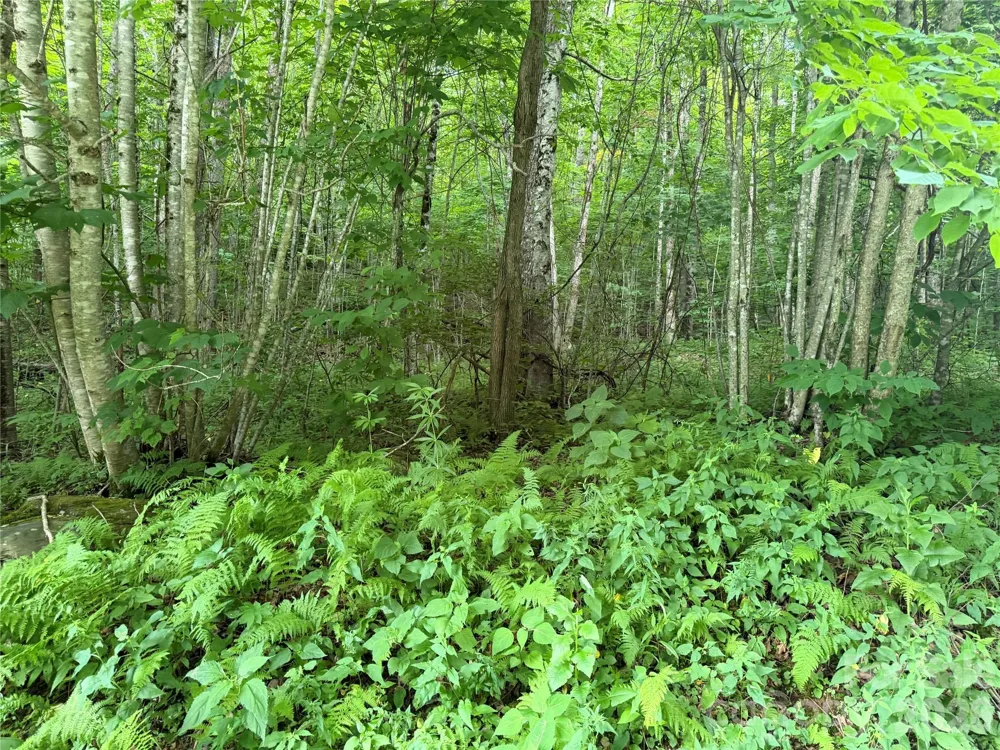 64A Jonathan Trail Maggie Valley, NC 28751