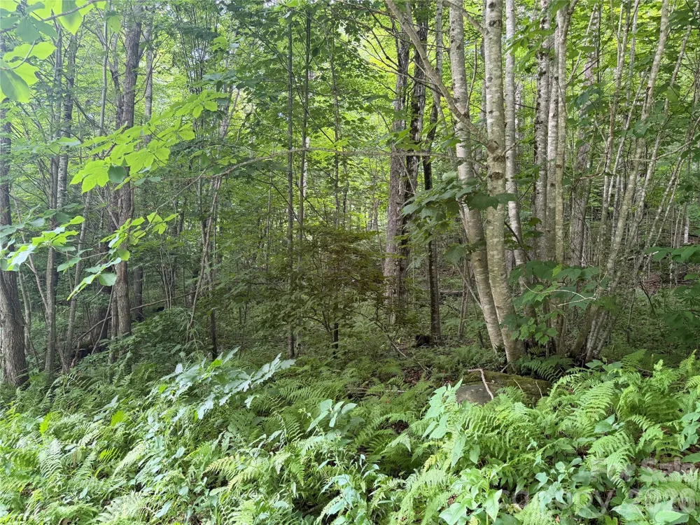 64A Jonathan Trail Maggie Valley, NC 28751