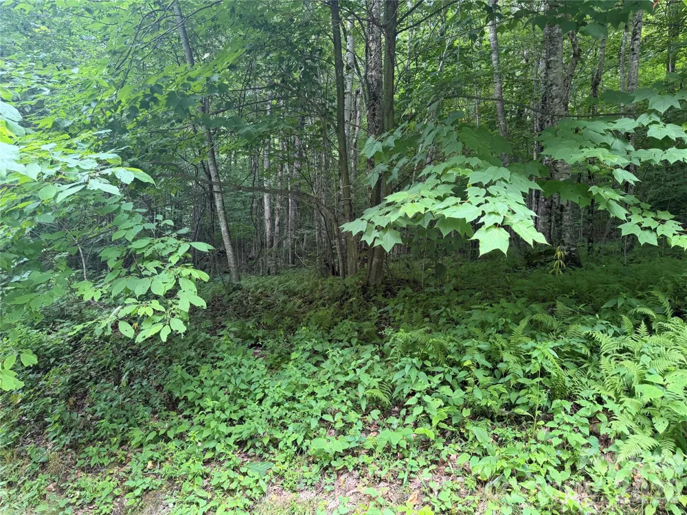 64A Jonathan Trail Maggie Valley, NC 28751