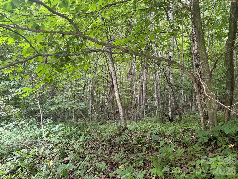 64A Jonathan Trail Maggie Valley, NC 28751