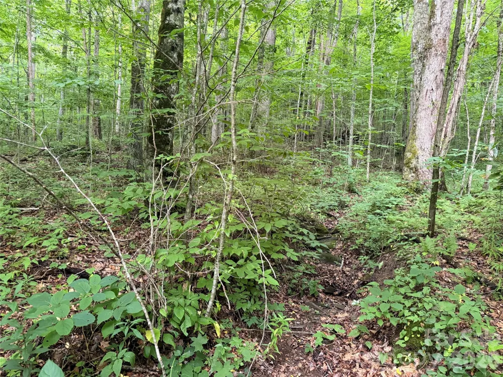 64A Jonathan Trail Maggie Valley, NC 28751