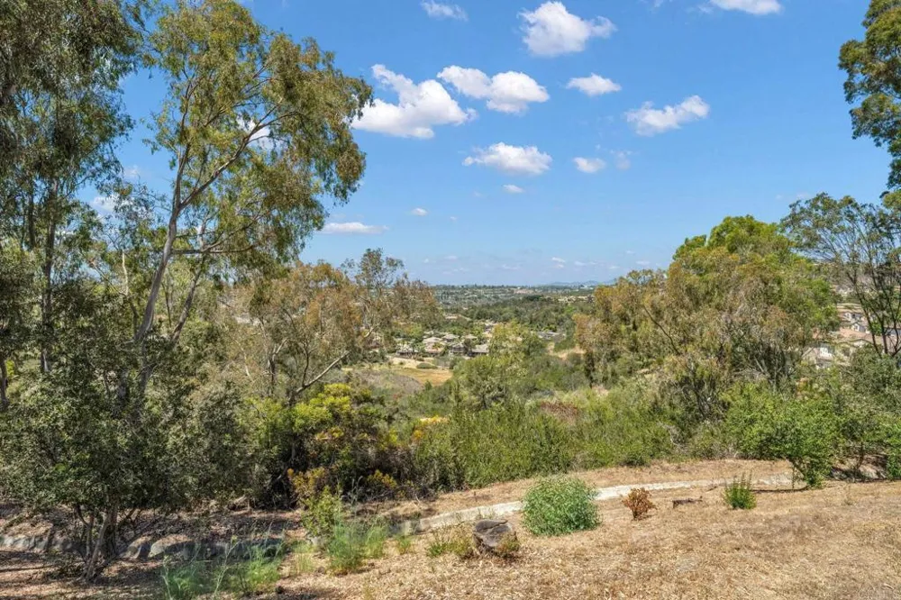 3036 Avenida Christina Carlsbad, CA 92009