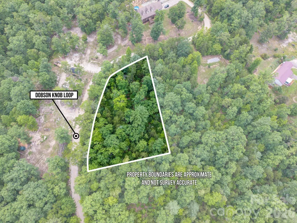 6 Dobsons Knob Loop Marion, NC 28752