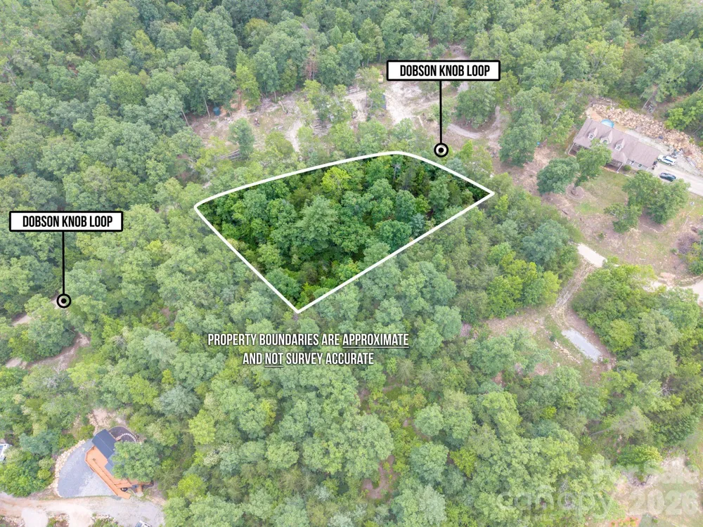 6 Dobsons Knob Loop Marion, NC 28752