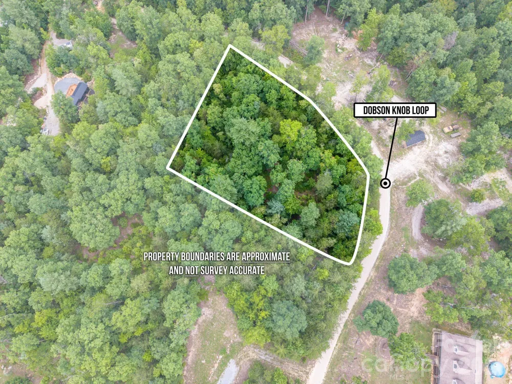 6 Dobsons Knob Loop Marion, NC 28752