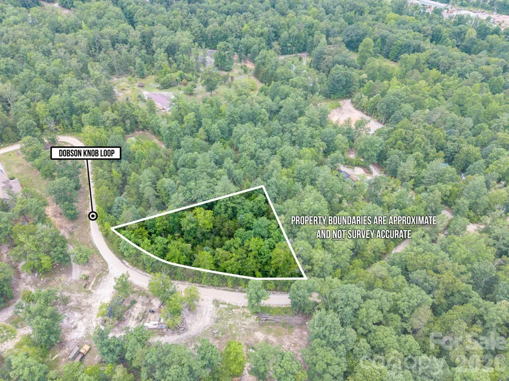 6 Dobsons Knob Loop Marion, NC 28752