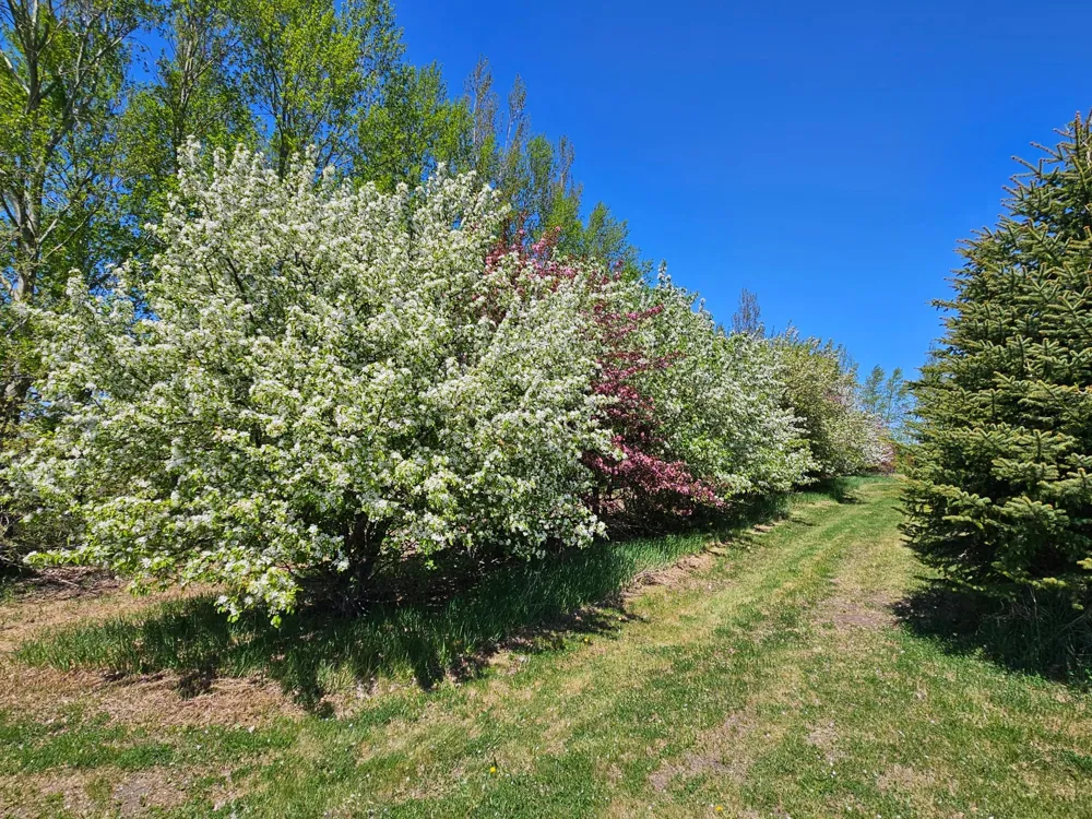 25759 State Highway 55 Lowry, MN 56349