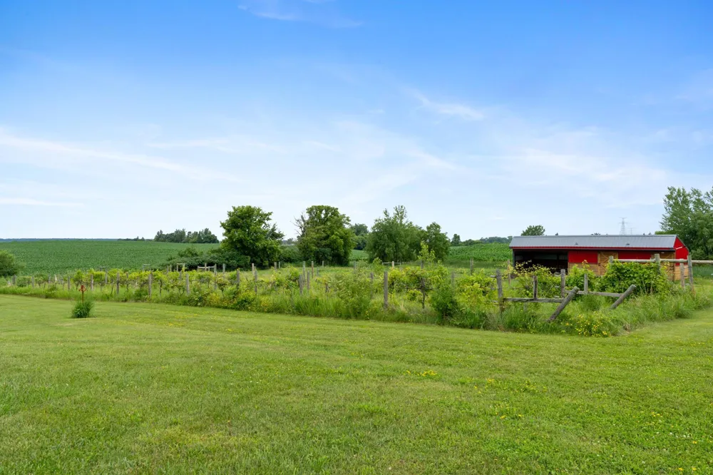 25759 State Highway 55 Lowry, MN 56349
