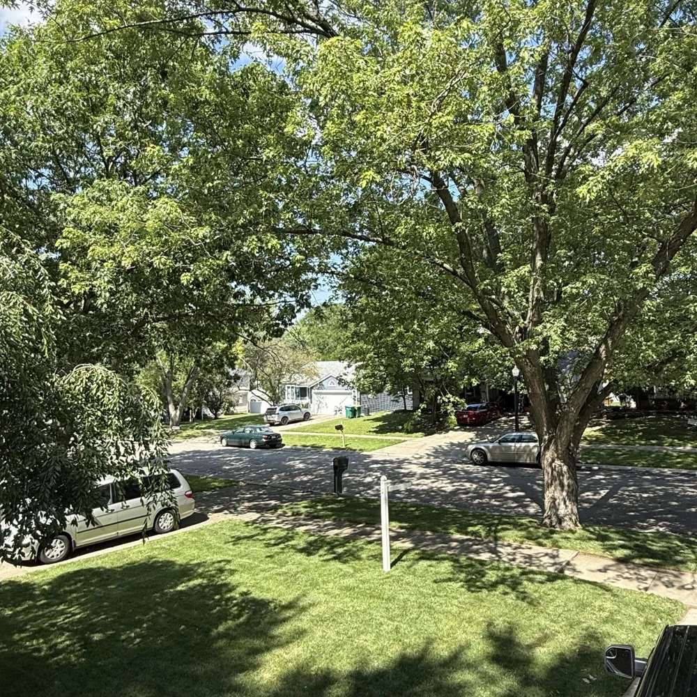 40 Colony Court Ypsilanti, MI 48197