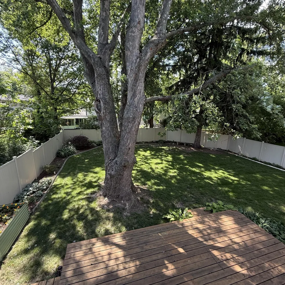 40 Colony Court Ypsilanti, MI 48197
