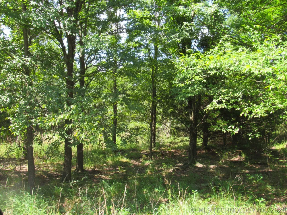 4710 ROAD Watts, OK 74964