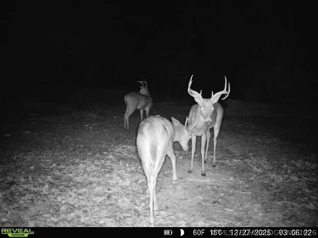 4710 ROAD Watts, OK 74964