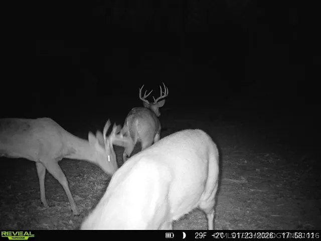 4710 ROAD Watts, OK 74964