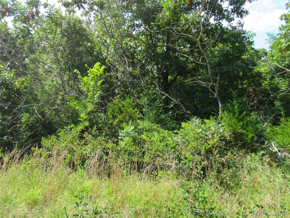 4710 ROAD Watts, OK 74964