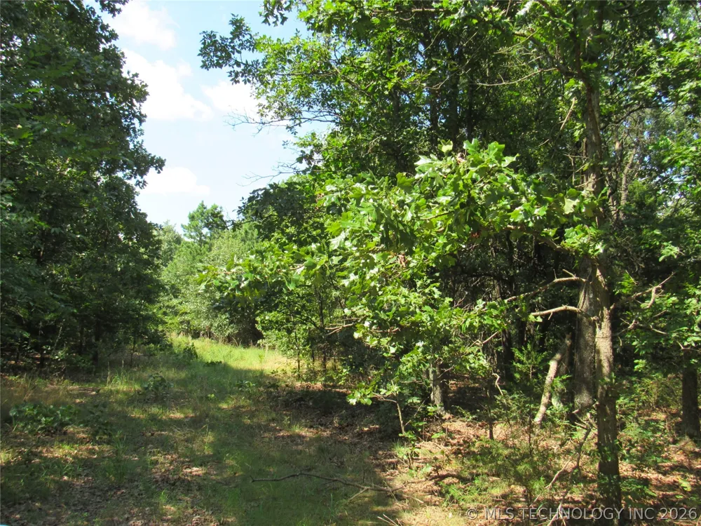 4710 ROAD Watts, OK 74964