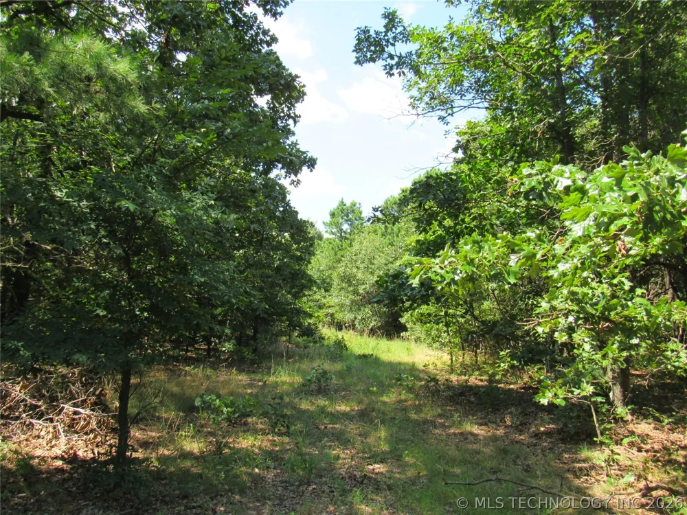 4710 ROAD Watts, OK 74964
