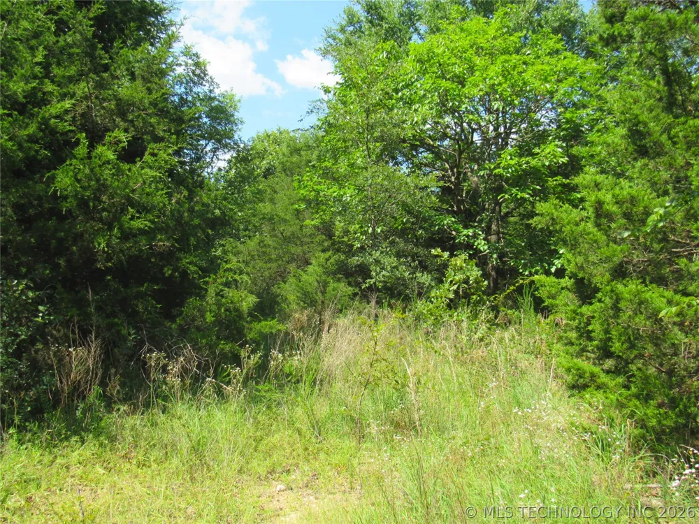 4710 ROAD Watts, OK 74964