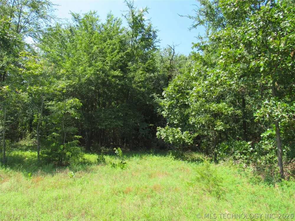 4710 ROAD Watts, OK 74964