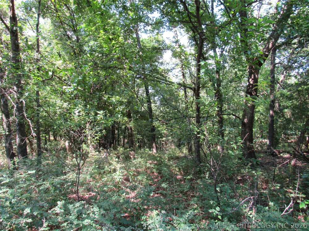 4710 ROAD Watts, OK 74964