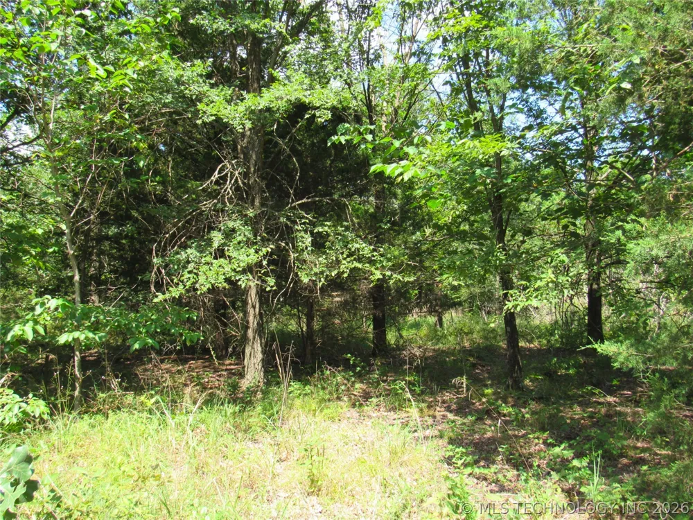 4710 ROAD Watts, OK 74964