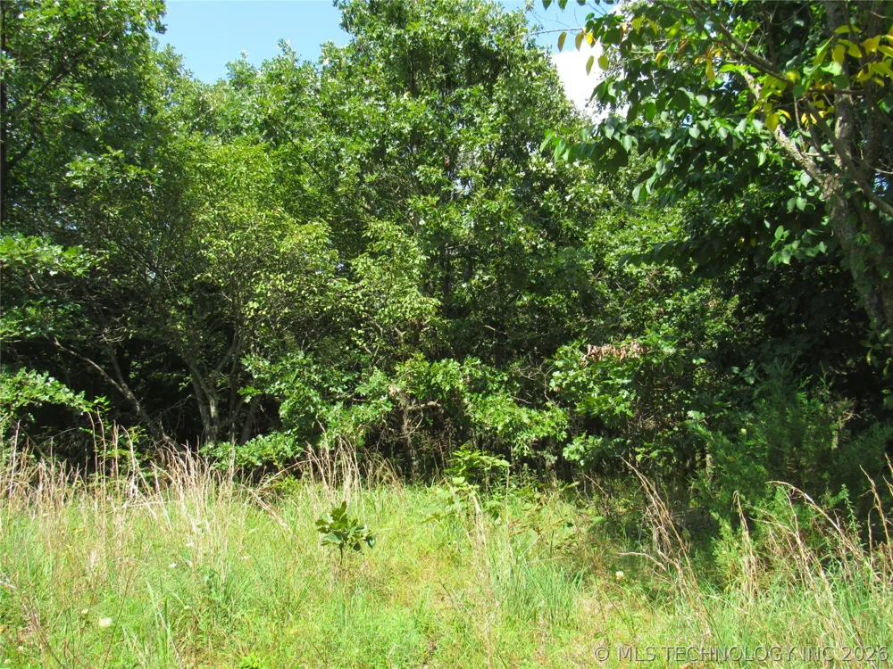 4710 ROAD Watts, OK 74964