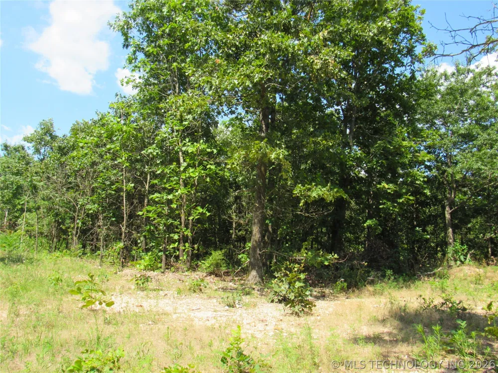 4710 ROAD Watts, OK 74964