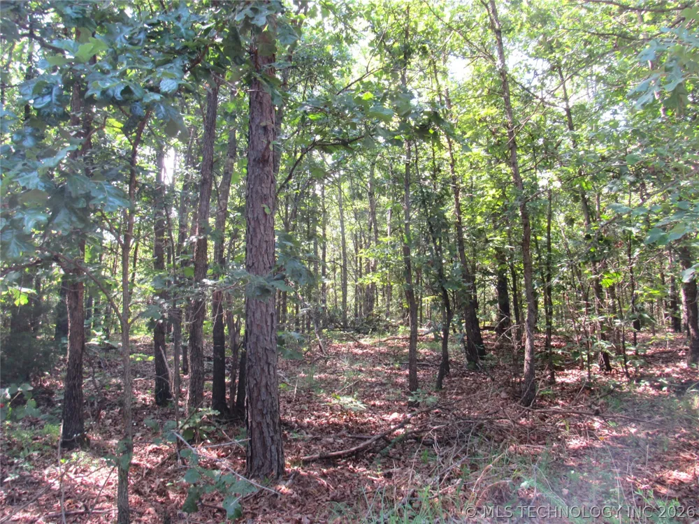 4710 ROAD Watts, OK 74964
