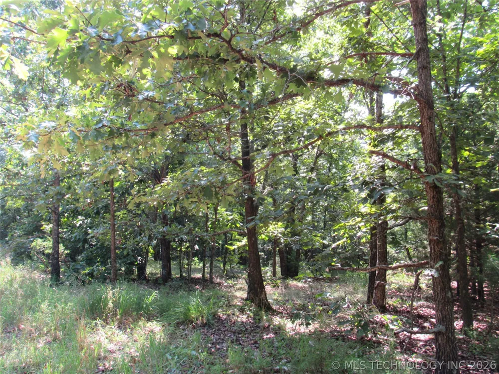 4710 ROAD Watts, OK 74964