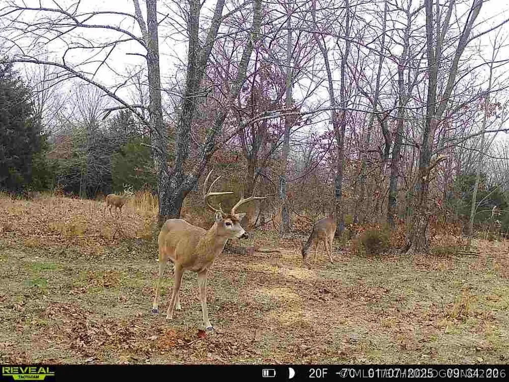 4710 ROAD Watts, OK 74964