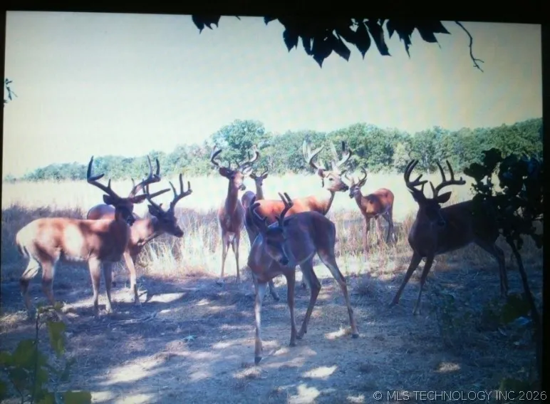4710 ROAD Watts, OK 74964