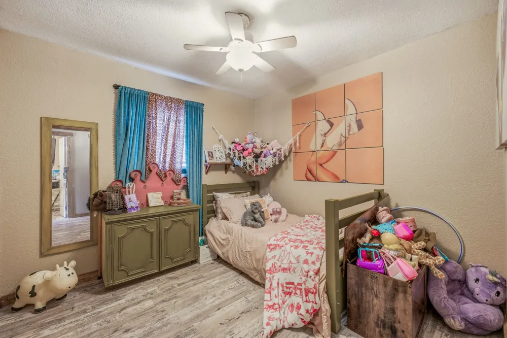 352 Seaberry Loop Graham, TX 76450