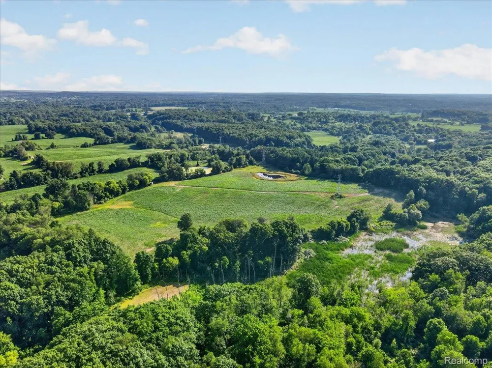 5000 Metamora Ridge Metamora Township, MI 48455