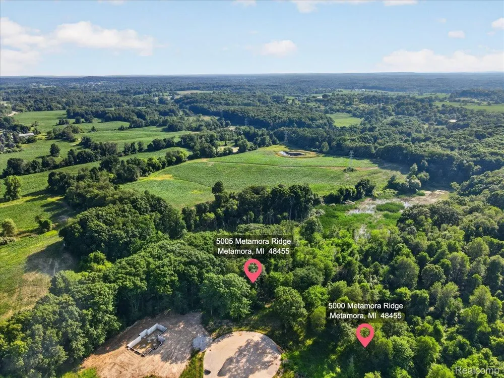 5000 Metamora Ridge Metamora Township, MI 48455