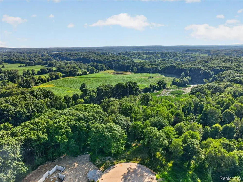 5000 Metamora Ridge Metamora Township, MI 48455