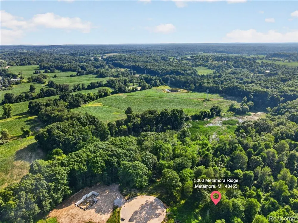 5000 Metamora Ridge Metamora Township, MI 48455