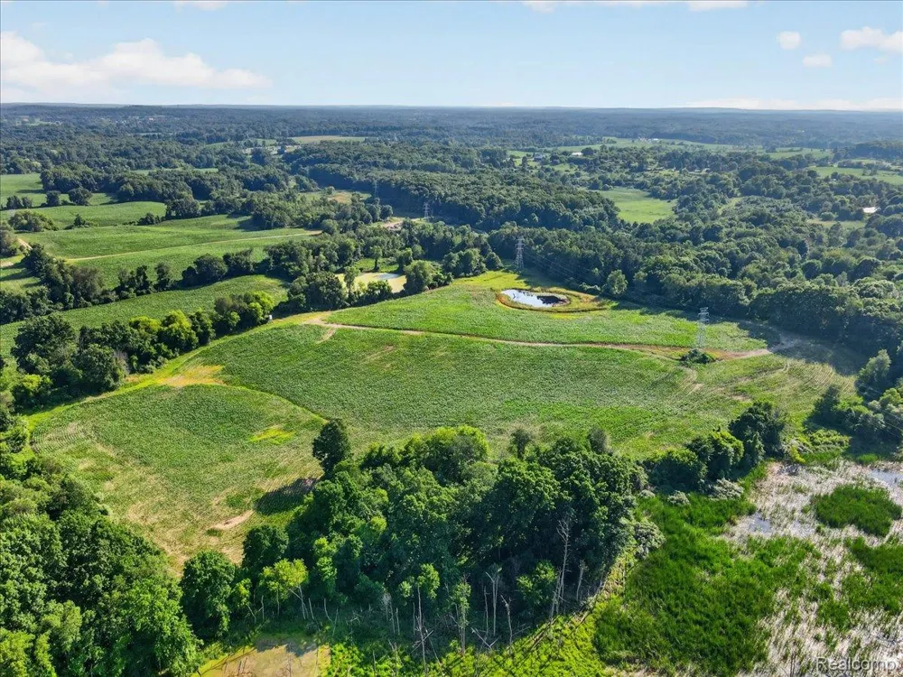 5000 Metamora Ridge Metamora Township, MI 48455