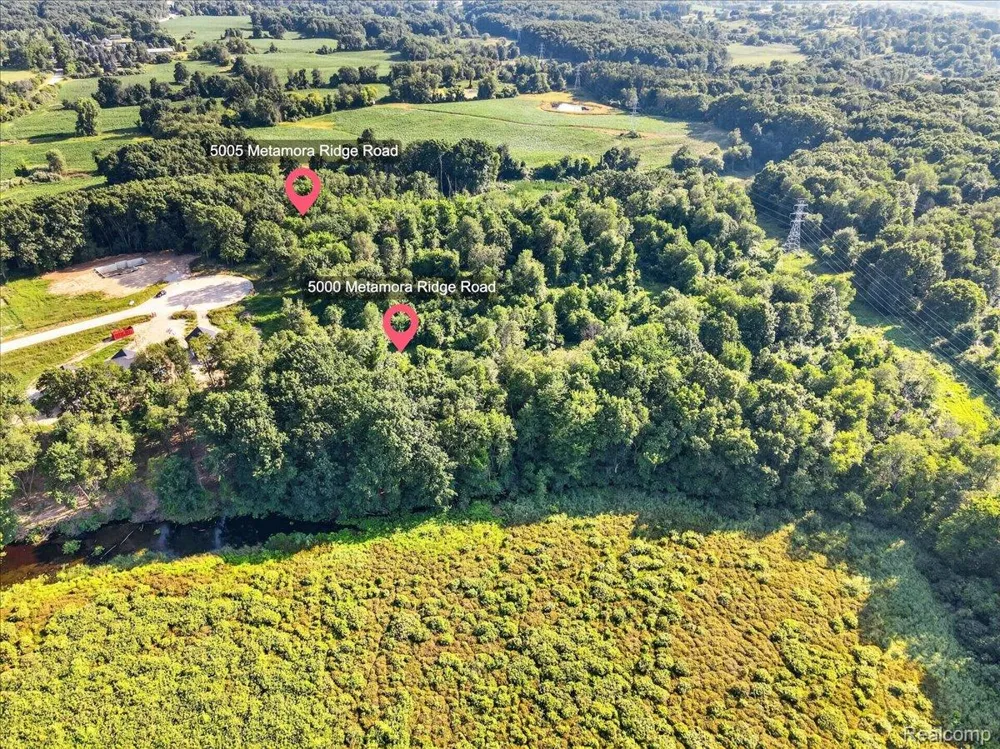 5000 Metamora Ridge Metamora Township, MI 48455