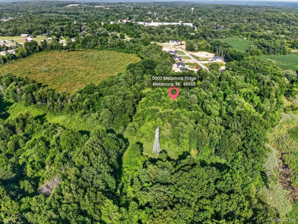 5000 Metamora Ridge Metamora Township, MI 48455