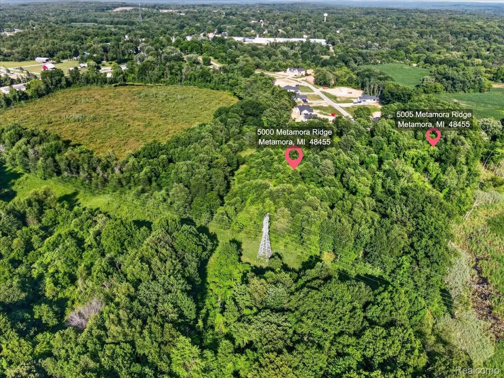 5000 Metamora Ridge Metamora Township, MI 48455