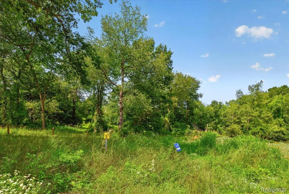 5000 Metamora Ridge Metamora Township, MI 48455