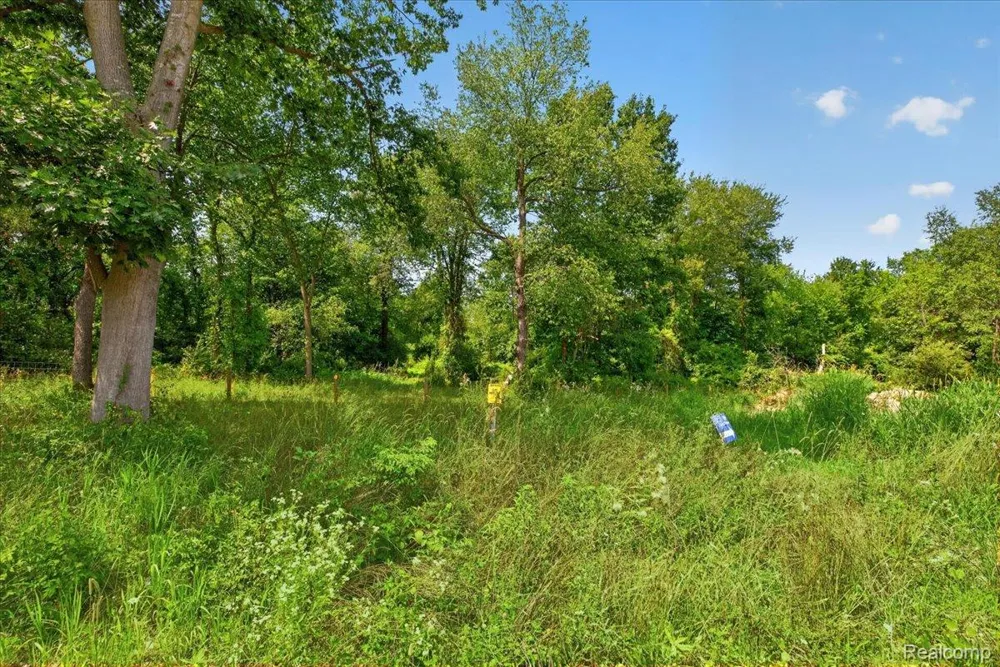 5000 Metamora Ridge Metamora Township, MI 48455