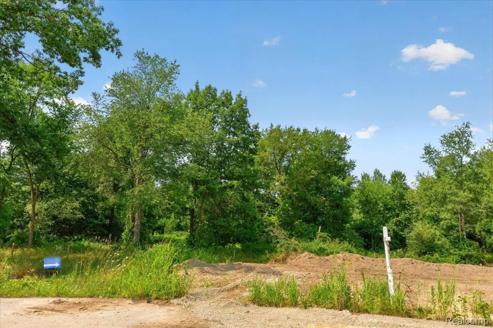 5000 Metamora Ridge Metamora Township, MI 48455