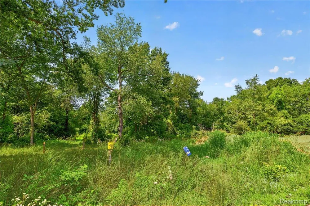 5000 Metamora Ridge Metamora Township, MI 48455